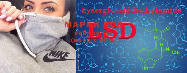 эйфоретик Архангельск