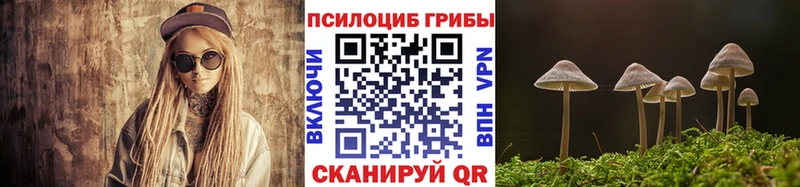 Псилоцибиновые грибы Psilocybine cubensis  Купить закладки  Клин 